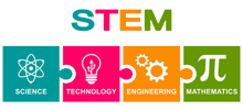 stem